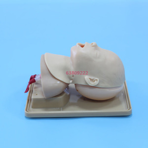 Maniquim de Treinamento para Intubação Traqueal Infantil J3A ADA em Material PVC Simulador de Ciência Médica - Product Image 3