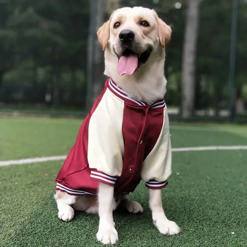 कुत्ते 2023 सर्दियों बेसबॉल सूट पालतू पालतू कोट कपड़े लोकप्रिय फैशन बड़े कुत्ते आउटडोर परिधान आरामदायक कुत्ते के कपड़े गोल्डन लैब्राडोर
