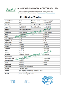 純粋なフィセチンサプリメント98% フィセチンパウダーフィセチン - Product Image 2