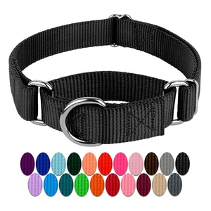 Pet eğitim malzemeleri Heavyduty naylon evcil hayvan tasmaları Martingale köpek tasması - Product Image 1