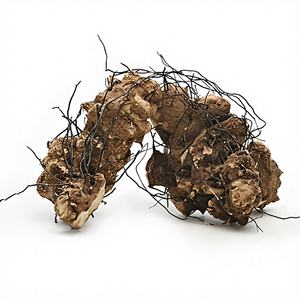 Poudre d'Ubi <span class=keywords><strong>Jaga</strong></span> soluble dans l'eau à prix d'usine – Extrait de Ubi <span class=keywords><strong>Jaga</strong></span> en poudre – Offre spéciale - Product Image 4