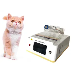 high quality portable laser therapy for physical pain relief animal treatment veterinary ultrasound machine
