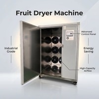 AI Slimme Warmtepomp Fruitdroogmachine PLC-gestuurd Energiebesparend