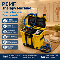 Appareil portable de magnétothérapie PEMF pour le soulagement de la douleur corporelle humaine, tapis magnéto PEMF pour la physiothérapie et la thérapie équine