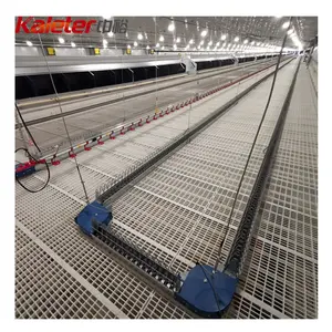 Broiler Parent Stock Automatic House Equipments Hens Feeder Line Chain Feeding System breeder Chicken Poultry Farm Design