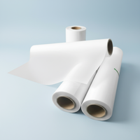 Offre Spéciale Film de Transfert Thermique DTF PET Double Face de Haute Qualité 60cm de Large, Encre Réfléchissante, Impression Numérique A3/A4 pour Vêtements