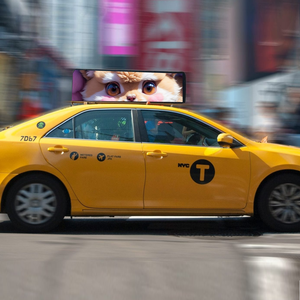 Pantalla Led superior de Taxi, pantallas publicitarias de Taxi, pantalla Led de Taxi, pantalla Led para coche, LED síncrono/asíncrono de doble cara - Product Image 5