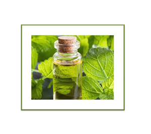 Aceite Esencial Puro Destilado al Vapor, Aprobado por ISO, Anti-Hinchazón, Blanqueador, Fabricación a Granel, Aceite de Melissa Officinalis (Melissa Lemon Balm Oil) - Product Image 1