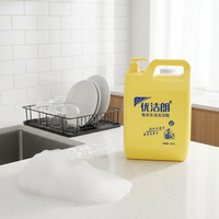 Détergent liquide vaisselle jetable écologique personnalisé en gros 10KG pour la restauration, nettoyant de cuisine avec 5%-15% d'ingrédients actifs