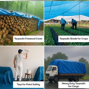 Tela tejida de HDPE impermeable de alta calidad 100%, LONA DE PE multiusos, LDPE laminada de rollo de lona, hoja de lona de PE Industrial - Product Image 6