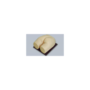 <strong>Real</strong> Feel Silicone Buttock <strong>Injection</strong> Model Medical Teaching Tool for Anatomy Learning Image Appearance is Authentic - Product Image 3