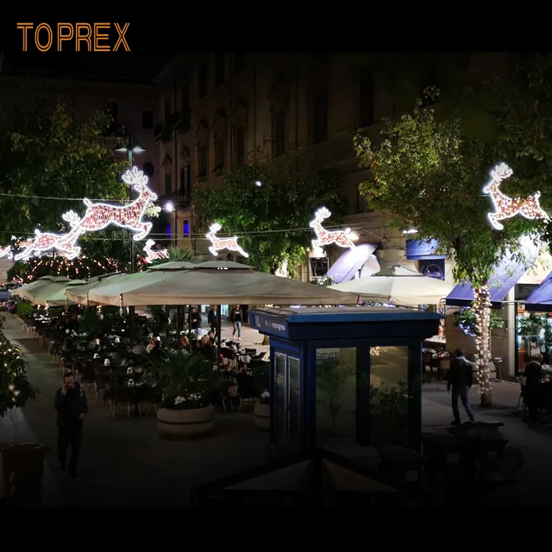 Iluminación navideña de alta calidad, decoración de calle al aire libre, decoraciones navideñas directas de fábrica, luces LED con motivo de poste IP65 2D