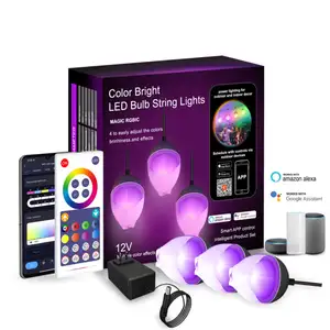 크리스마스 야외 방수 무지개 색 Dc 5v 12v 10m 12.5m 블랙 RGB 주소 지정 Led 픽셀 모듈 Led 문자열 빛