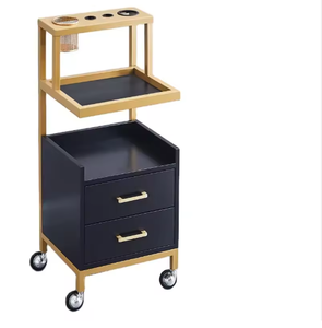 Chariot de Salon de Beauté à Roulettes en Métal, Chariot de Rangement en Acier Inoxydable - Product Image 1