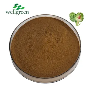Fabricación de precio a granel Cynara Scolymus EXTRACTO DE ALCACHOFA en polvo 2.5%-5% cinarina