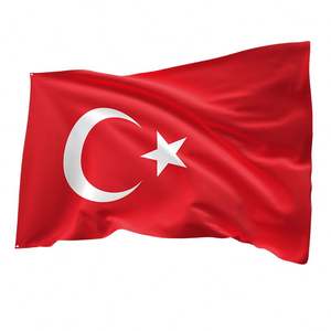 Drapeaux personnalisés de haute qualité 3x5 de tous les pays, y compris la Turquie, style fanion ; prix d'usine, polyester, plastique, logo personnalisé - Product Image 2