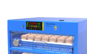 Incubadora de huevos con control automático de temperatura y humedad, máquina para incubar huevos, nuevo diseño, 256 - Product Image 4