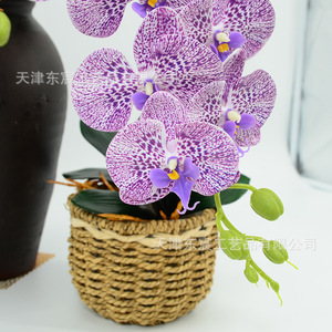 Orchidée Phalaenopsis Artificielle Dongchen Crafts à 9 Têtes en Silicone Souple, Fleur Artificielle à Tige Unique pour Décoration Maison et Mariage - Product Image 2