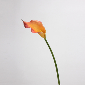 Ventes directes d'usine nouveau Style 61CM fleurs artificielles en PVC tête unique touche réelle haute qualité EVA Calla Lily maison à <span class=keywords><strong>la</strong></span> mode - Product Image 5