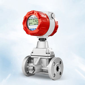 プリセッションボルテックス流量計 DN50 天然ガス、ガスアルゴン、圧縮空気用プリセッションボルテックス流量計 - Product Image 6