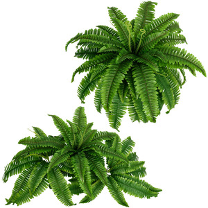 Plante artificielle de fougère persane, feuilles en soie, décoration suspendue, verdure intérieure et extérieure, 18 feuilles, fougères simulées, style tropical - Product Image 5