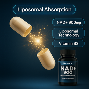 <span class=keywords><strong>NAD</strong></span> 플러스 900 고강도 면역 지원 OEM 60캡슐 고급 흡수 성인용 건강 보조 식품 - Product Image 4