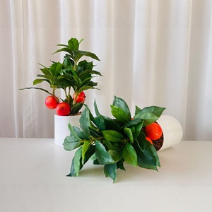 <span class=keywords><strong>ต้น</strong></span>ไม้ผลไม้จิ๋วแบบข้ามพรมแดน <span class=keywords><strong>ต้น</strong></span>ไม้ผลไม้ในกระถางโฟม <span class=keywords><strong>ต้น</strong></span>ไม้ผลไม้สามหัว ตกแต่งบ้านในร่ม <span class=keywords><strong>ต้น</strong></span>ไม้สำหรับตกแต่งหน้าต่าง - Product Image 4