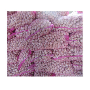 2025 China Fabricante <span class=keywords><strong>de</strong></span> ajo fresco Ajo <span class=keywords><strong>de</strong></span> alta calidad Plantación <span class=keywords><strong>de</strong></span> ajo natural Proveedores <span class=keywords><strong>de</strong></span> Shandong - Product Image 2