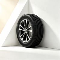 Neumático Windzoom 201 195/45R16 80V Sin Cámara, Radial, para Auto de Pasajeros
