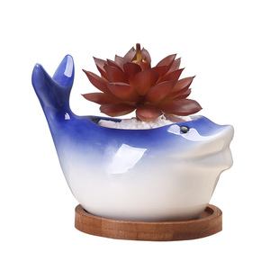 Design moderne transfrontalier pour <span class=keywords><strong>Amazon</strong></span> <span class=keywords><strong>Pot</strong></span> <span class=keywords><strong>de</strong></span> <span class=keywords><strong>fleur</strong></span> charnu intérieur série océan dessin animé <span class=keywords><strong>Pot</strong></span> <span class=keywords><strong>de</strong></span> plante en céramique approvisionnement créatif - Product Image 5
