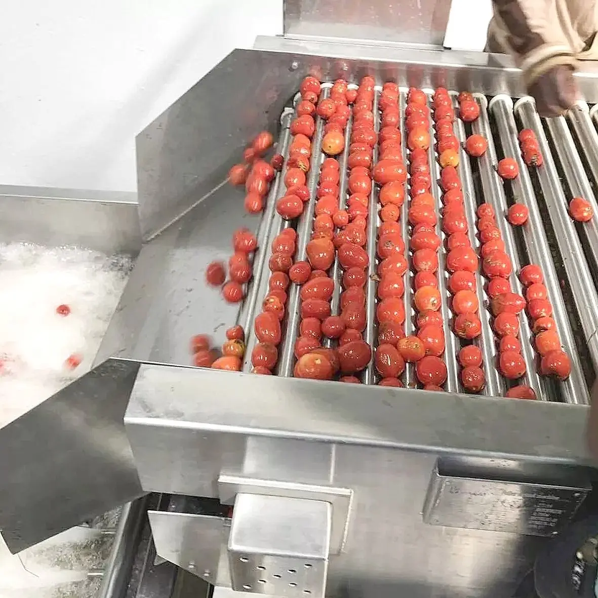 Mesin pengiris tomat, jalur produksi tomat industri, lini produksi tomat terkonsentrasi