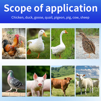 Acides aminés de qualité alimentaire pour la prévention des coups de chaleur et le refroidissement des volailles et du bétail (poulets, bovins, ovins, porcins) en été