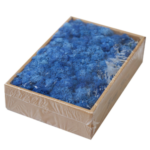 QSLHFH-1049 Haute Qualité Fraîche Conservée Mousse Végétal Stabilisé Pour La Décoration D'intérieur - Product Image 6