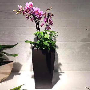BRICE Dikim Saksisi <span class=keywords><strong>XL</strong></span> – Grandes jardinières auto-arrosantes rectangulaires en plastique pour extérieur, écologiques et modernes - Product Image 5