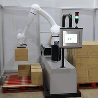 Ligne de palettisation robotisée collaborative intelligente en acier inoxydable pour l'emballage de cartons, haute capacité