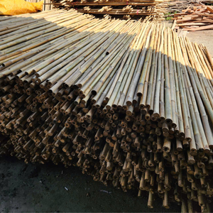 Postes de bambú duraderos para invernadero y agricultura al aire libre - Product Image 5