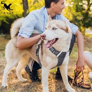 Arnés de seguridad para perros con logotipo personalizado y ligero, estilo deportivo reflectante, mango superior, liberación rápida, poliéster sólido ajustable - Product Image 3