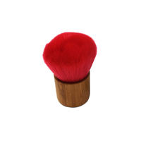 Brosse de nettoyage pour disques vinyles avec manche en bambou naturel, anti-statique, pour l'élimination de la poussière, accessoire audio pour platine vinyle, directement de l'usine