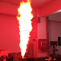 Machine à flammes DMX professionnelle pour scène, DJ, club et soirée, avec deux réservoirs de carburant, hauteur de flamme de 4 mètres