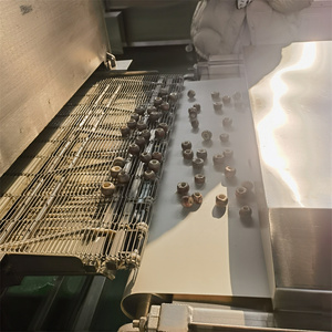 Nueva Máquina para Recubrir con Chocolate <span class=keywords><strong>Galletas</strong></span>, Helados, Frutas y Frutos Secos, Bizcochos y <span class=keywords><strong>Galletas</strong></span>, Productos Horneados - Product Image 6