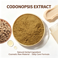 Extrait de Codonopsis en poudre, Extrait de Dangshen, Polysaccharides standardisés à 20%, UV, Végétal naturel, Vente en gros en vrac