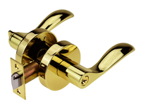 Ensemble combiné serrure à pêne dormant et clé à cylindre extérieur robuste avec levier en alliage de zinc et poignée rosette en acier inoxydable