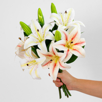 Künstliche Lilienblumen mit Echtgefühl, 3 Köpfe, Lilienstiel-Simulation für Hochzeiten, Heimdekoration, Event-Arrangements, Großhandel Blumen