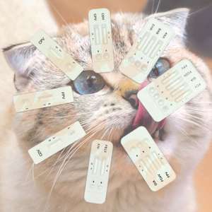 Factory Outlet Uso Doméstico Feline Canine <span class=keywords><strong>Salmonella</strong></span> Antigen Kit Teste Rápido para Cães e Gatos - Product Image 3