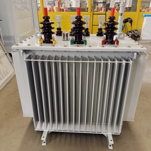 Transformateur de distribution de puissance triphasé immergé dans l'huile, norme IEC, 11 kV 100 kVA, pour réseau intelligent, moyenne et haute tension, S11/S3 E - Product Image 5