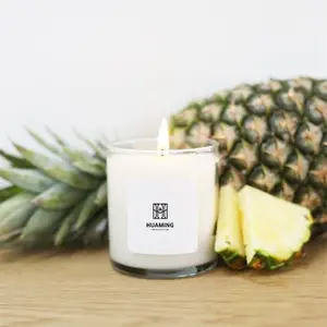 Custom Logo Private Label Rebranding Geur Aromatherapie Kaars Leuke Romantische Soja Was Glazen Pot Kaarsen Geparfumeerde Ananas