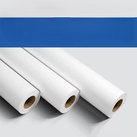 Kit Consommables Complet Optionnel Film DTF + Encre DTF + Poudre Thermofusible pour Impression Textile par Transfert Thermique (Matériau PET)
