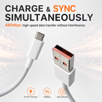 Câble TPE Écologique Premium Flexible Confident Factory, Conception Anti-Nœuds, USB-A USB-C, Charge Rapide 6A, 480 Mbps, 1M, Électronique