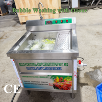 SAIDASHI RVS Fruit- en Groentewasmachine met Ozonverwarming voor Appel, Druif, Aardbei en Tomaat