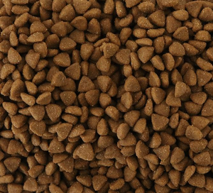 Oem odm סיני מחיר נמוך כלב מזון מזון מגוון טעמים צורות מרובות מזון כלבים למבוגרים יבש - Product Image 6